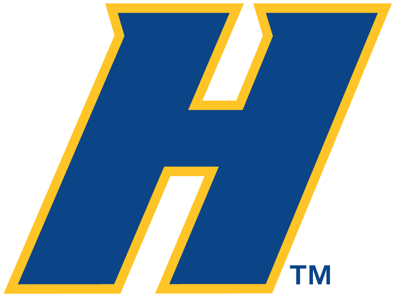 Hofstra Pride 2005-Pres Alternate Logo iron on transfers for T-shirts